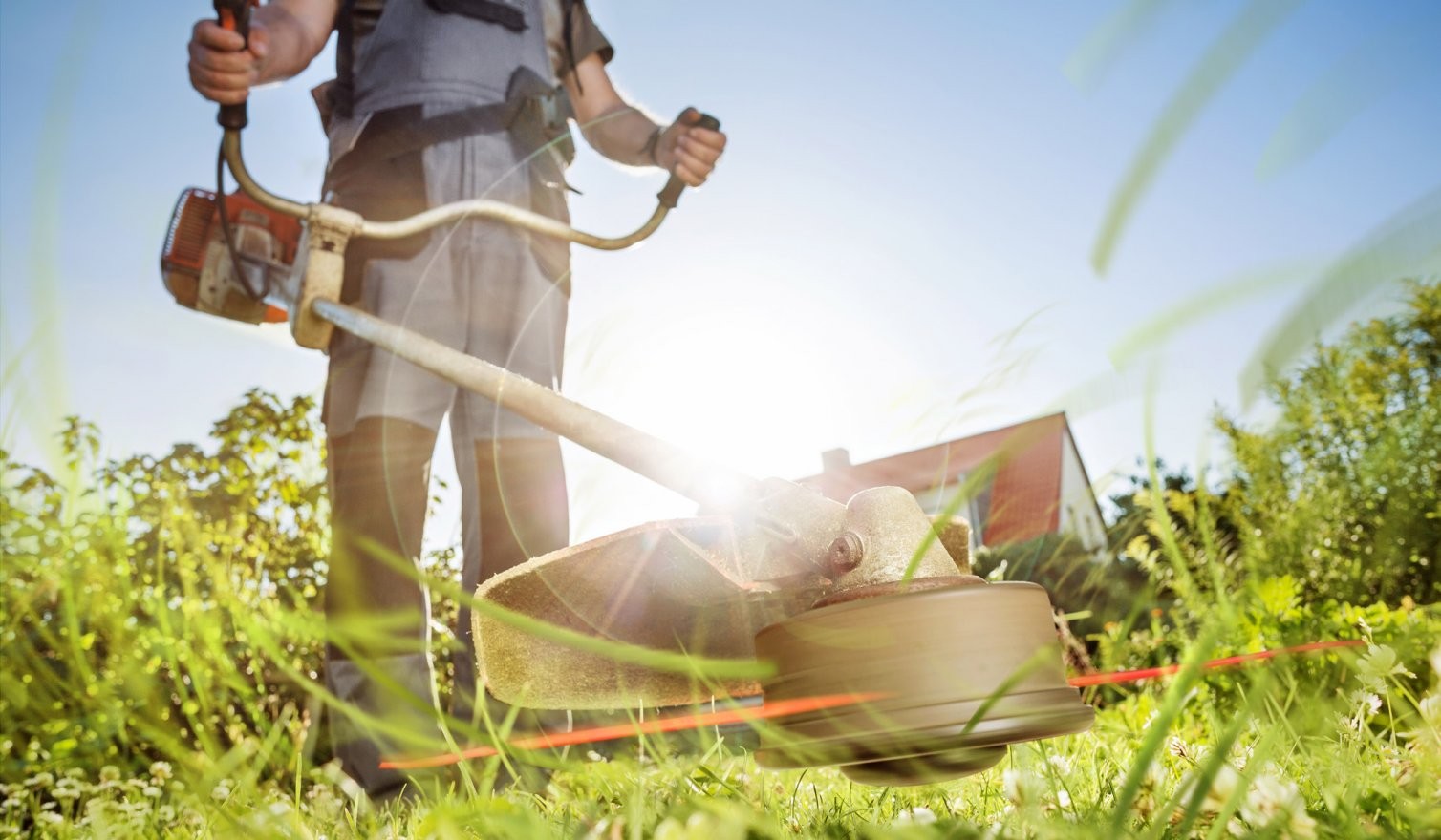 como-limpar-meu-terr-ixtnx